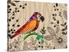 Bird Rainforest-Patricia Pinto-Stretched Canvas