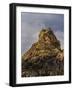 Bird rock on Jersey-enricocacciafotografie-Framed Photographic Print