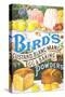 Bird's, Custard Blancmange, UK, 1920-null-Stretched Canvas