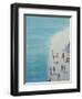 Bird's-Eye Beach, 2000-Lincoln Seligman-Framed Giclee Print