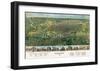 Bird’s Eye Map of Houston, Texas, 1891-null-Framed Giclee Print