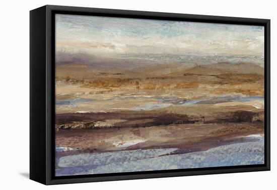 Bird's Eye View II-Tim OToole-Framed Stretched Canvas