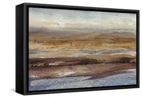 Bird's Eye View II-Tim OToole-Framed Stretched Canvas