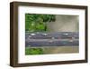 Bird's Eye View of Bridge-fotoslaz-Framed Photographic Print