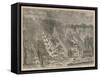 Bird's Eye View of Buckingham and St James's Palaces-null-Framed Stretched Canvas