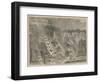 Bird's Eye View of Buckingham and St James's Palaces-null-Framed Giclee Print