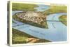 Bird's Eye View of Cairo, Illinois-null-Stretched Canvas