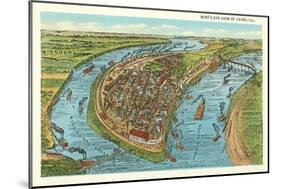 Bird's Eye View of Cairo, Illinois-null-Mounted Art Print