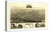 Bird's Eye View of Cheyenne, Wyo., County Seat of Laramie Co. 1882, USA, America-null-Stretched Canvas