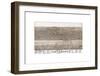 Bird’s Eye View of Cleveland, Ohio, 1877-A^ Ruger-Framed Giclee Print