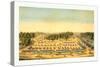 Bird'S-Eye View of Cliffburne Hospital, Washington, D.C., Circa 1862-null-Stretched Canvas