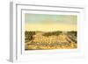 Bird'S-Eye View of Cliffburne Hospital, Washington, D.C., Circa 1862-null-Framed Giclee Print