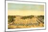 Bird'S-Eye View of Cliffburne Hospital, Washington, D.C., Circa 1862-null-Mounted Giclee Print