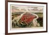 Bird'S-Eye View of New York and Environs-John Bachman-Framed Giclee Print