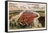 Bird'S-Eye View of New York and Environs-John Bachman-Framed Stretched Canvas