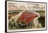 Bird'S-Eye View of New York and Environs-John Bachman-Framed Stretched Canvas