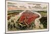 Bird'S-Eye View of New York and Environs-John Bachman-Mounted Giclee Print