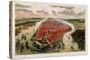 Bird'S-Eye View of New York and Environs-John Bachman-Stretched Canvas