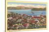 Bird's Eye View of Old Acapulco-null-Stretched Canvas