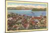 Bird's Eye View of Old Acapulco-null-Mounted Art Print