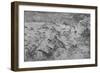 'Bird's-Eye View of Part of Tuscany', c1480 (1945)-Leonardo Da Vinci-Framed Giclee Print