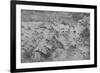 'Bird's-Eye View of Part of Tuscany', c1480 (1945)-Leonardo Da Vinci-Framed Giclee Print