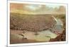 Bird's Eye View of Saint Louis-John Bachmann-Mounted Giclee Print