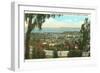 Bird's Eye View of Santa Barbara, California-null-Framed Art Print