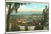 Bird's Eye View of Santa Barbara, California-null-Mounted Art Print