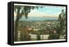 Bird's Eye View of Santa Barbara, California-null-Framed Stretched Canvas