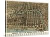 Bird’s Eye View of the Business District of Chicago, 1898-Poole Bros^-Stretched Canvas
