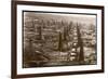 Bird's Eye View of the Oilfield of the Creditu Minier Moreni-Prahova-null-Framed Premium Giclee Print