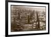 Bird's Eye View of the Oilfield of the Creditu Minier Moreni-Prahova-null-Framed Premium Giclee Print