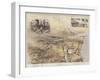 Bird's Eye View of the Soudan and Surrounding Countries-null-Framed Giclee Print