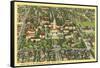 Bird's Eye View of University of Texas-null-Framed Stretched Canvas