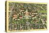 Bird's Eye View of University of Texas-null-Stretched Canvas