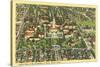 Bird's Eye View of University of Texas-null-Stretched Canvas