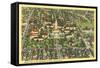 Bird's Eye View of University of Texas-null-Framed Stretched Canvas