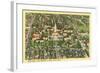 Bird's Eye View of University of Texas-null-Framed Art Print