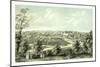 Bird's Eye View of Waukesha, Wisconsin-null-Mounted Giclee Print