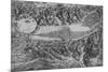 'Bird's-Eye View Showing Arezzo, Borgho San Sepolco, Perugia, Chiusi and Siena', c1480 (1945)-Leonardo Da Vinci-Mounted Giclee Print