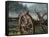 Bird's Eye View-Rusty Frentner-Framed Stretched Canvas