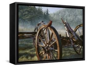 Bird's Eye View-Rusty Frentner-Framed Stretched Canvas