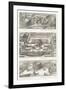 Bird's Eye Views Of: the Balbo and Marcello Theatres-Giovanni Battista Piranesi-Framed Giclee Print