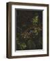 Bird's Nest and Ferns, 1863-Fidelia Bridges-Framed Giclee Print