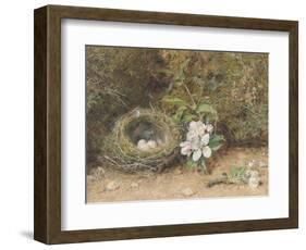 Bird's Nest with Sprays of Apple Blossoms-William Henry Hunt-Framed Giclee Print