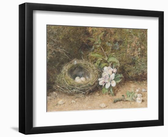 Bird's Nest with Sprays of Apple Blossoms-William Henry Hunt-Framed Giclee Print