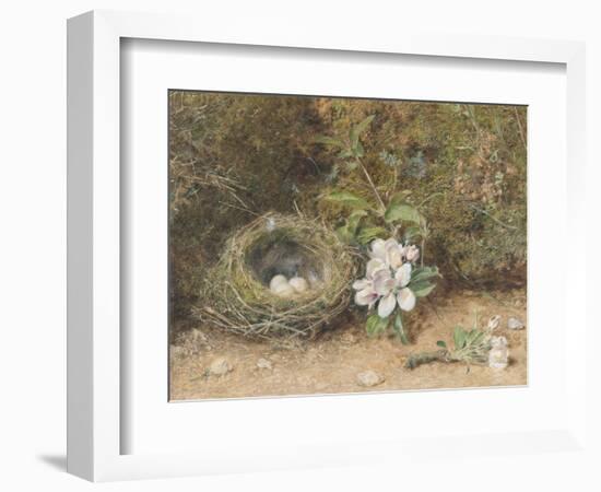 Bird's Nest with Sprays of Apple Blossoms-William Henry Hunt-Framed Giclee Print