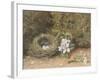 Bird's Nest with Sprays of Apple Blossoms-William Henry Hunt-Framed Giclee Print