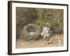 Bird's Nest with Sprays of Apple Blossoms-William Henry Hunt-Framed Giclee Print